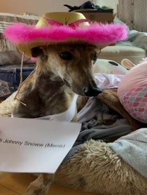 Poster for Advice video from Risk it all Paul