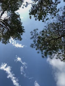 Poster for Birthday video from MoreJStu