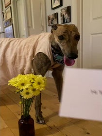 Poster for Pep Talk video from Risk it all Paul