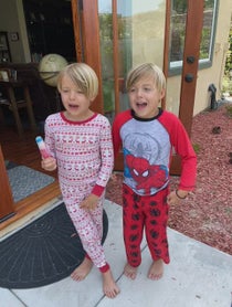 Poster for Birthday video from Messitt Twins - Fox & Dash