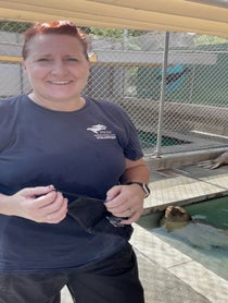 Poster for Birthday video from Pacific Marine Mammal Center