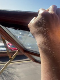 Poster for Birthday video from Steven the seagull