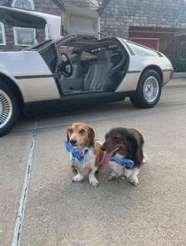 Poster for Birthday video from Ballparkdoxies