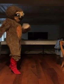 Poster for Other video from Only Sloths / Bridget Case