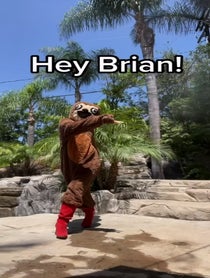 Poster for Birthday video from Only Sloths / Bridget Case