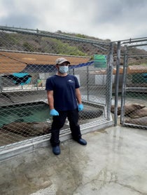 Poster for Other video from Pacific Marine Mammal Center