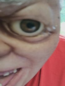 Poster for Other video from Irelands Sloth
