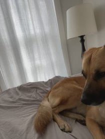 Poster for Other video from Nadia Hilker