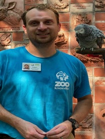 Poster for Birthday video from Einstein African Grey Parrot