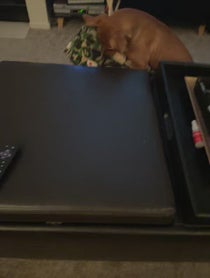 Poster for Birthday video from Antonio Raul Corbo