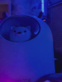 Poster for Other video from Jazzy