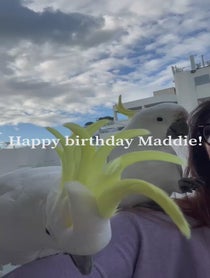 Poster for Birthday video from The Almond Cafe