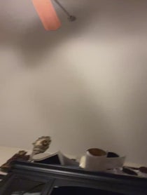 Poster for Other video from Malakai Black