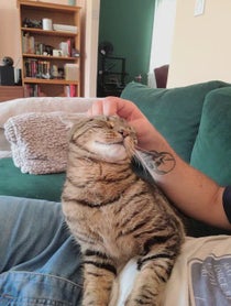 Poster for Other video from Ralph Attanasia