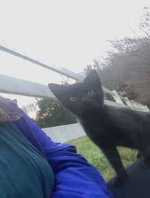 Poster for Birthday video from Angela Dohrmann