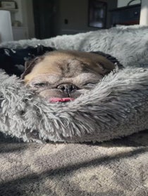 Poster for Other video from Jonathan Graziano