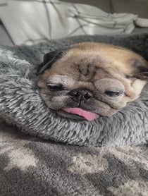 Poster for Birthday video from Jonathan Graziano