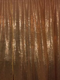 Poster for Birthday video from Broadway Barbara