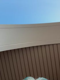 Poster for Birthday video from Mod Sun