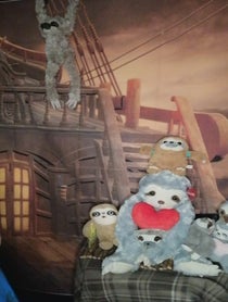 Poster for Birthday video from Irelands Sloth