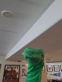 Poster for Birthday video from Croc Daddy