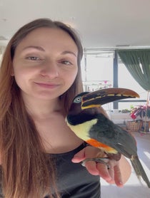 Poster for Birthday video from Chester the Toucan