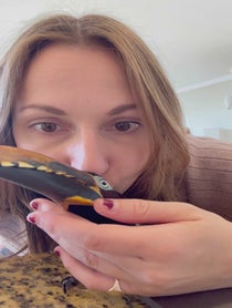 Poster for Valentine's Day video from Chester the Toucan