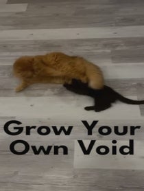 Poster for Other video from The Pawtistics