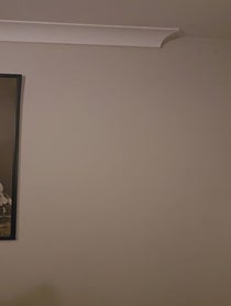Poster for Pep Talk video from The Boski