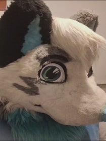 Poster for Birthday video from AlanDragonWolf