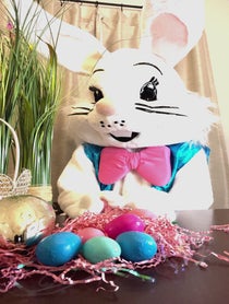 Poster for Other video from THE Easter Bunny