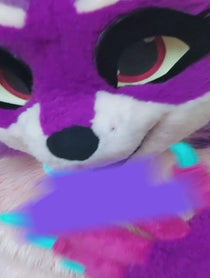 Poster for Birthday video from Zee the Raccoon