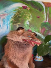 Poster for Birthday video from Estelle