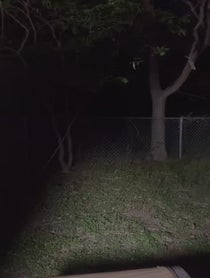 Poster for Birthday video from the zurkie show