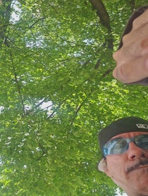 Poster for Other video from Ham Hands Bill