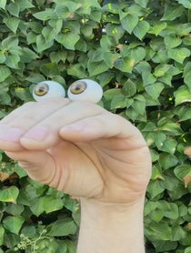 Poster for Other video from Oobi