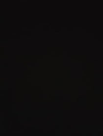 Poster for Birthday video from Paul Eiding