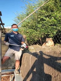 Poster for Anniversary video from Cougar at Houston Zoo
