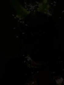 Poster for Other video from Dil-Dar The Alien