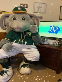 Poster for Birthday video from Stomper The Elephant