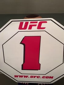 Poster for Other video from Mascot Chuck Liddell
