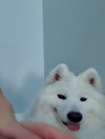 Poster for Pep Talk video from Alinity Divine