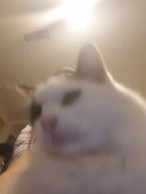 Poster for Birthday video from Ken Hall