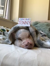 Poster for Birthday video from Stella Max Johnson