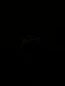 Poster for Other video from Derek Holland