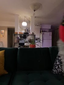 Poster for Holiday video from Josh Mikel
