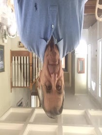 Poster for Birthday video from Jim Harrick