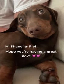 Poster for Gift video from Pip