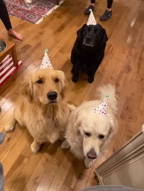 Poster for Birthday video from Hudson B. Mason