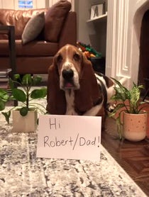 Poster for Birthday video from Dean the Basset